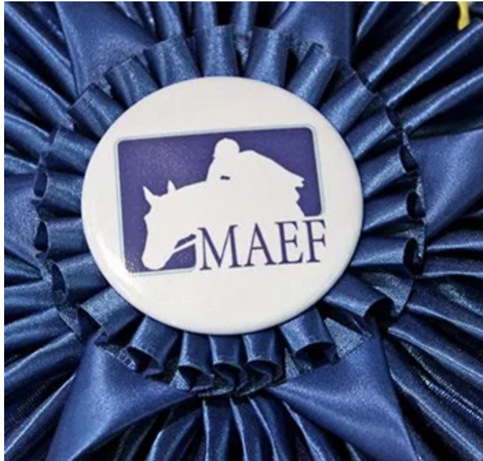 "MAEF Scholarships.png"